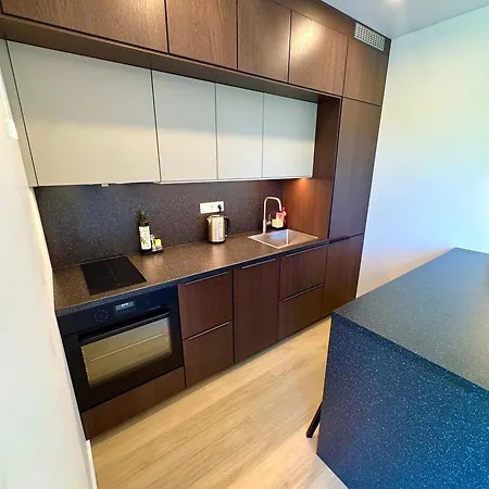 Tilzes 34 13 Apartment Klaipeda